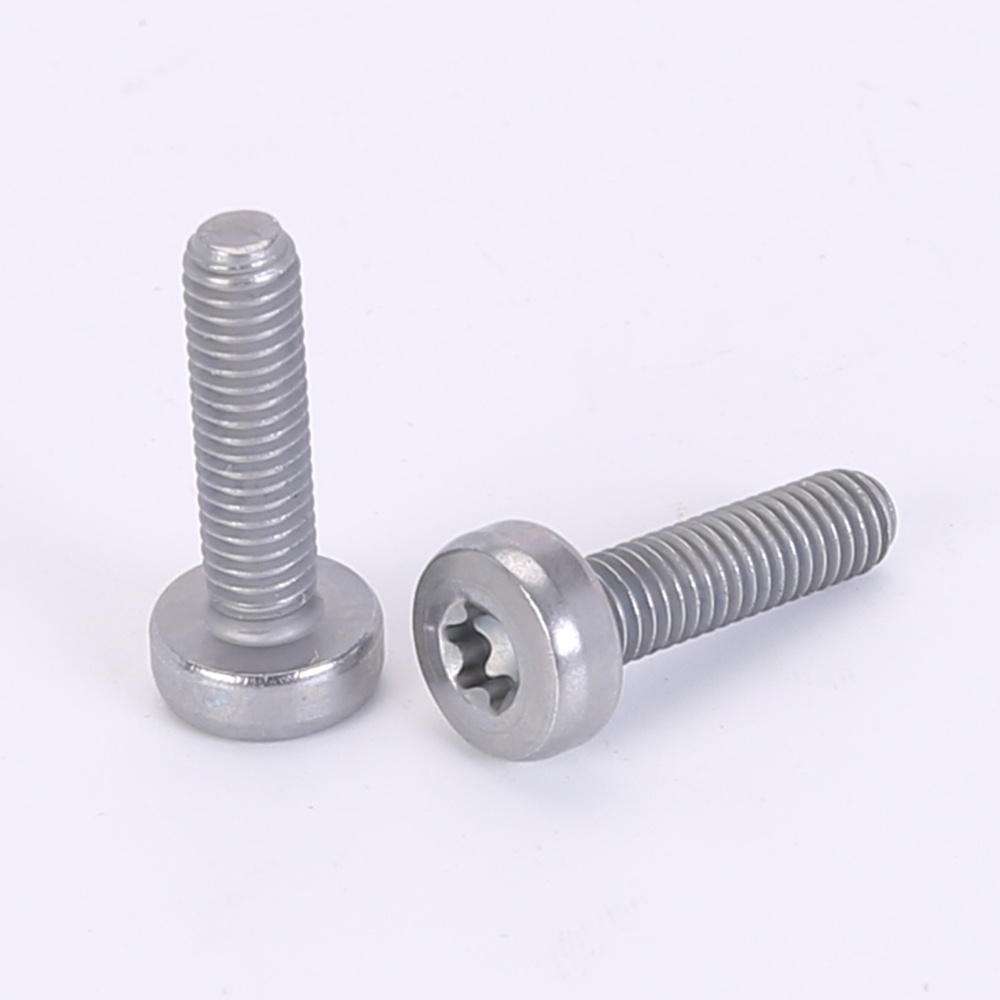 Torx pan head bolts