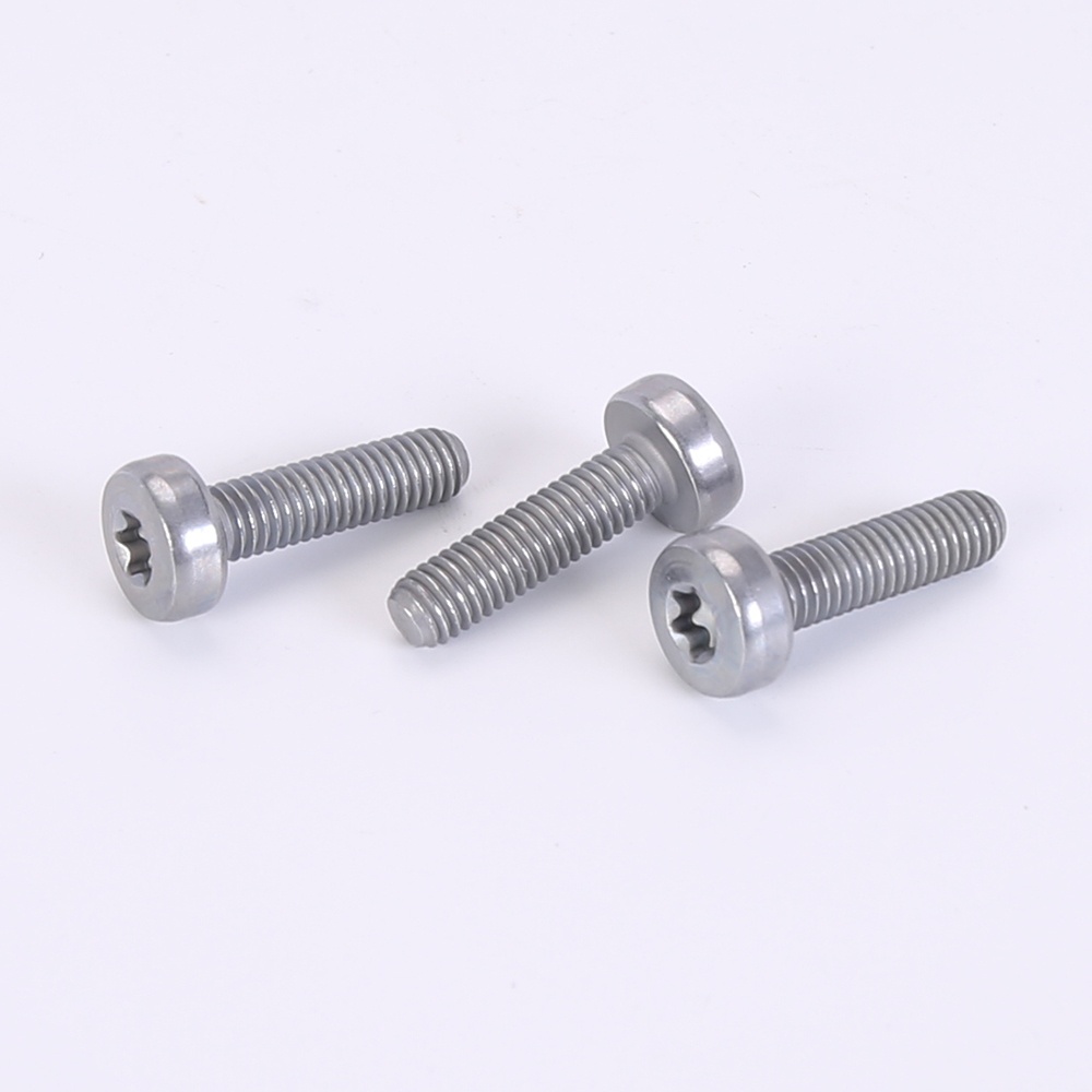 Torx pan head bolts