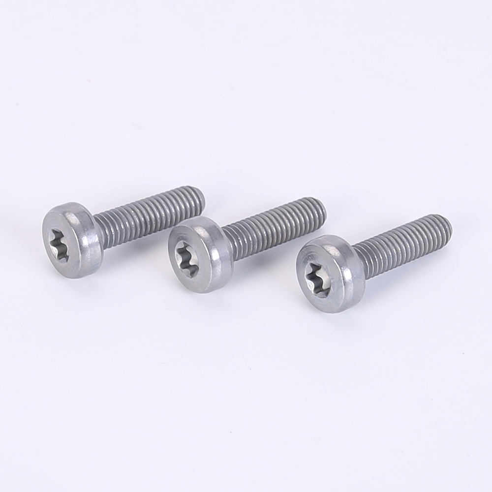 Torx pan head bolts